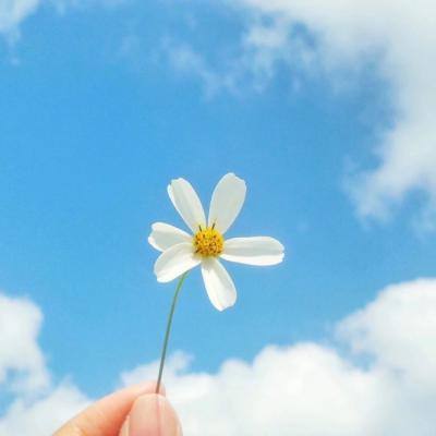 博雅.体育app手机版下载