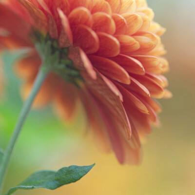 BET9官方APP下载-登录入口