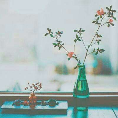 博雅.体育app手机版下载