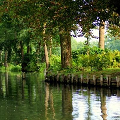 澳门新莆京游戏大厅下载手机版截图