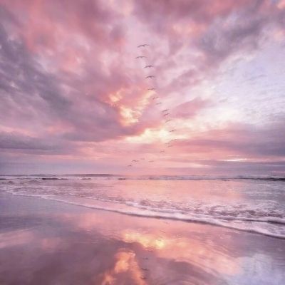 可下分电玩app下载