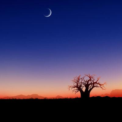 半岛手机综合体育官方下载