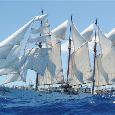 开元棋脾官方网站