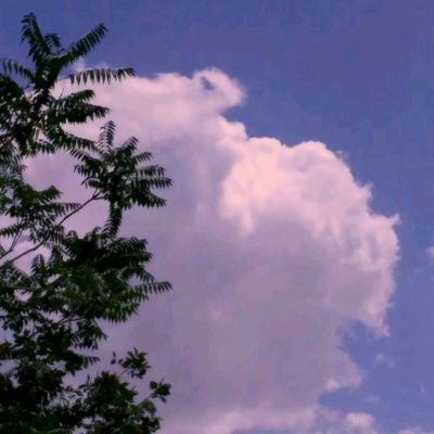 ng体育电子游戏手机app下载