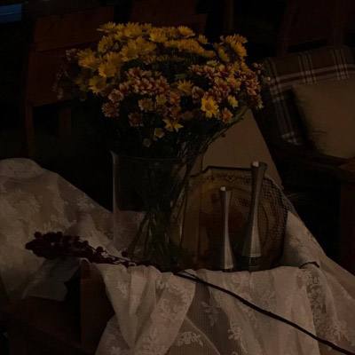 乐宝体育官网登录入口